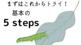 basicsteps